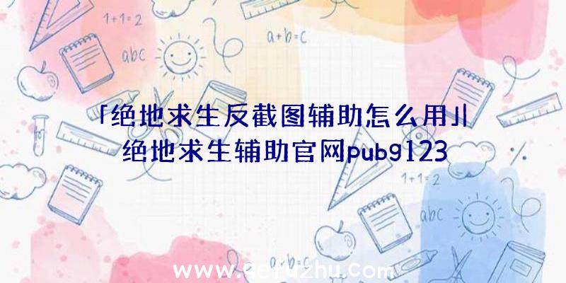 「绝地求生反截图辅助怎么用」|绝地求生辅助官网pubg123